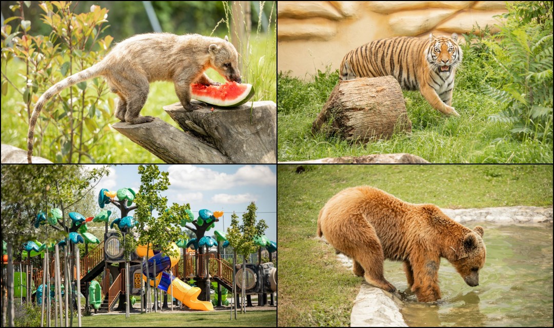 Bingo zoo vrt Tuzla